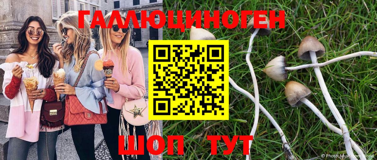 Галлюциногенные грибы Cubensis Амурск