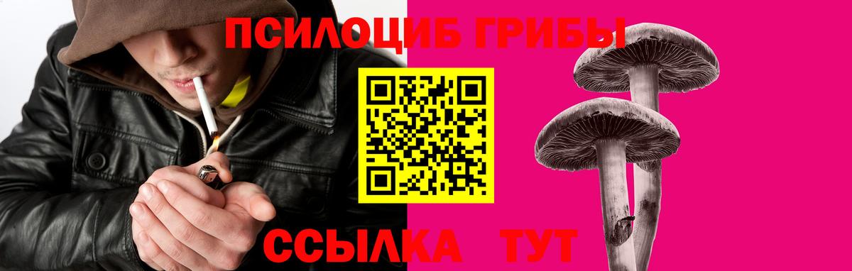 Псилоцибиновые грибы Magic Shrooms  Галлюциногенные грибы мицелий  Амурск  Вход с VPN 